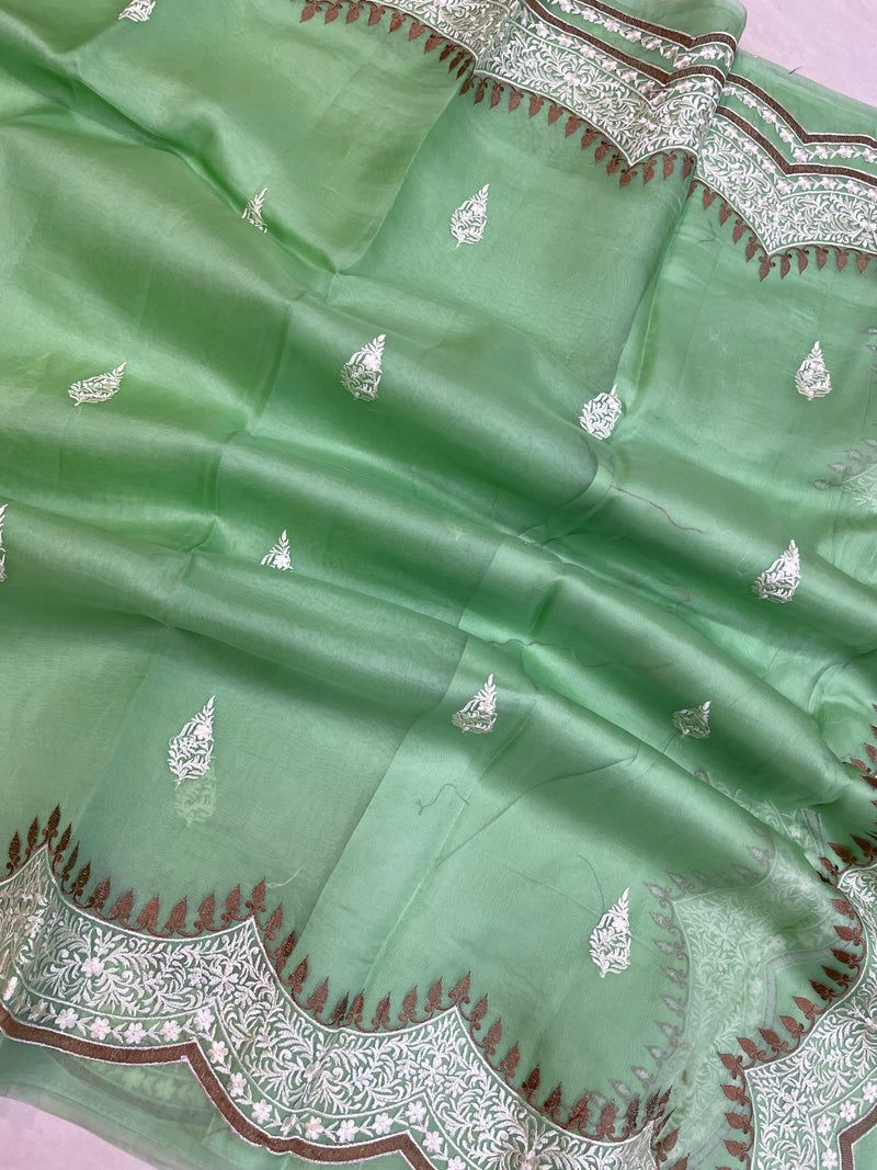 Pure organza Chikankari Handloom Banarasi Saree - The Handlooms