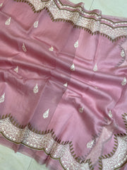 Pure organza Chikankari Handloom Banarasi Saree - The Handlooms