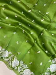 Pure Organza Chikankari Handloom Banarasi Saree - The Handlooms